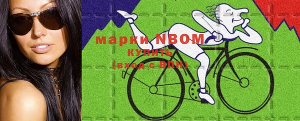 сатива Аркадак
