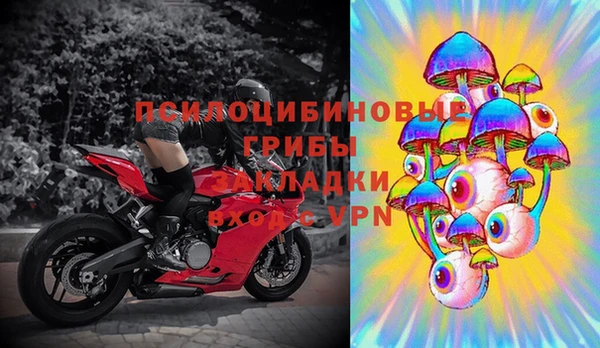 гидра Баксан